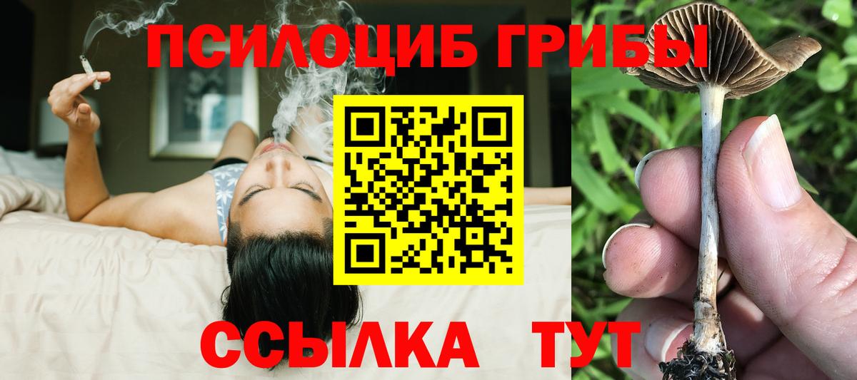 Псилоцибиновые грибы ЛСД  Вход с VPN  Шали 