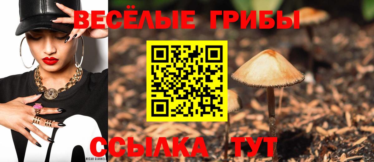 Псилоцибиновые грибы Magic Shrooms Шали